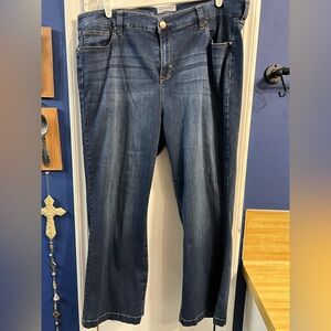 Women's Dark Wash Blue Jeggings